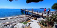 Trail Bay Pier