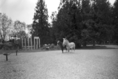 Pinhole Camera Photography