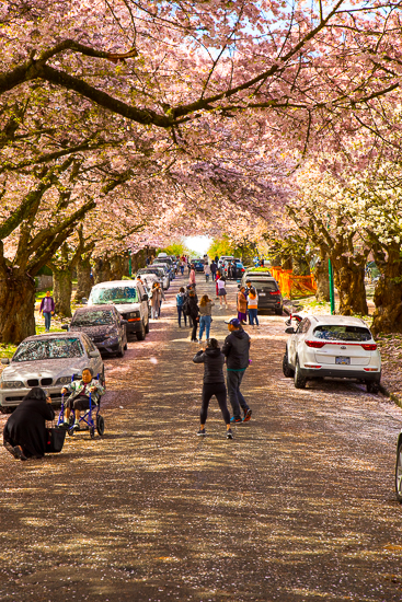 Graveley Street - Photo by Len